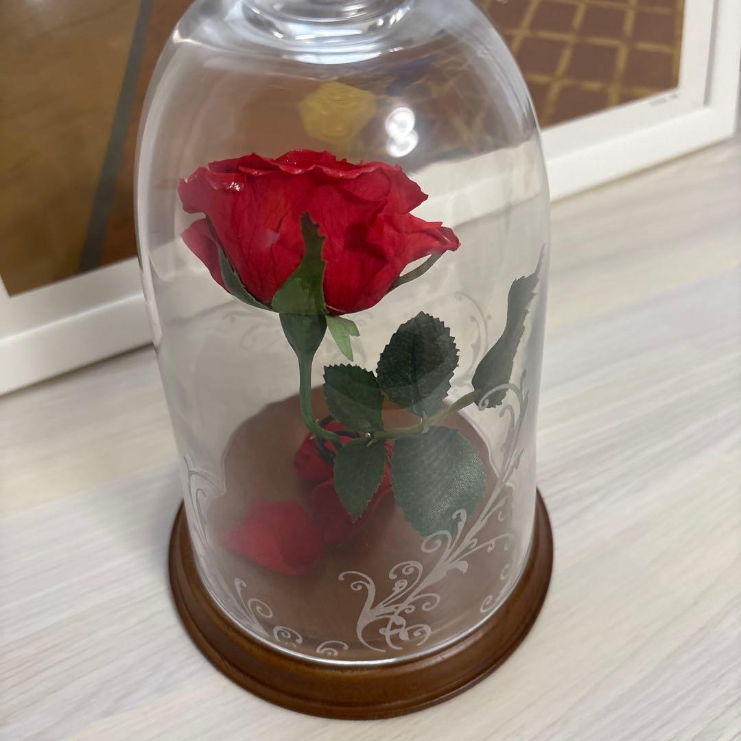 赤いプリザーブドバラ ガラスドーム付き