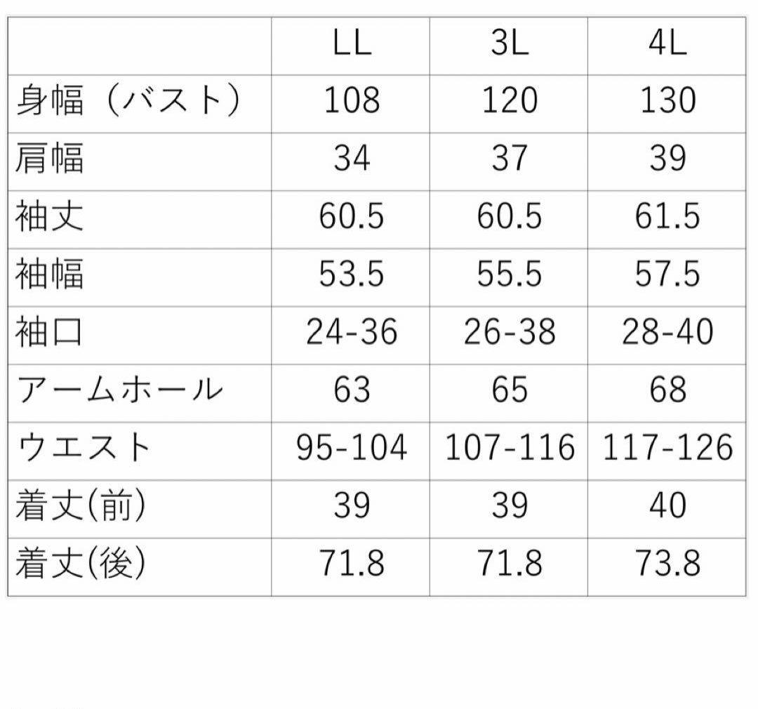 ジュールズプラスJours+ ブラウス カモミール ホワイト 3L