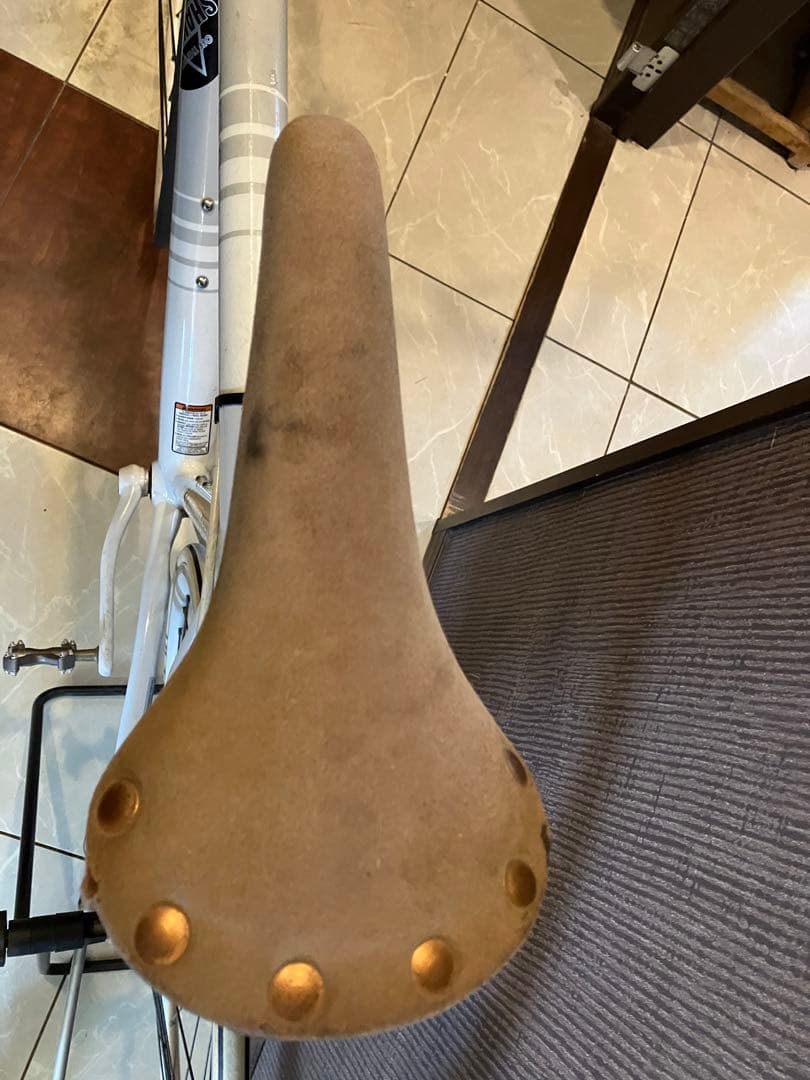 エリマキトカゲさん専用　キャノンデールCAPO