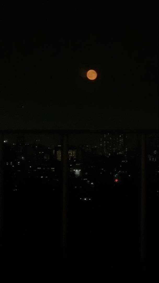 iPhone 14 ProMaxディープパープル 1TB