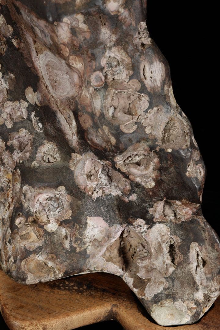 紅梅 梅花石 台付 5.7kg 鑑賞石 水石 原石 天然石 鉱石 盆石 飾石