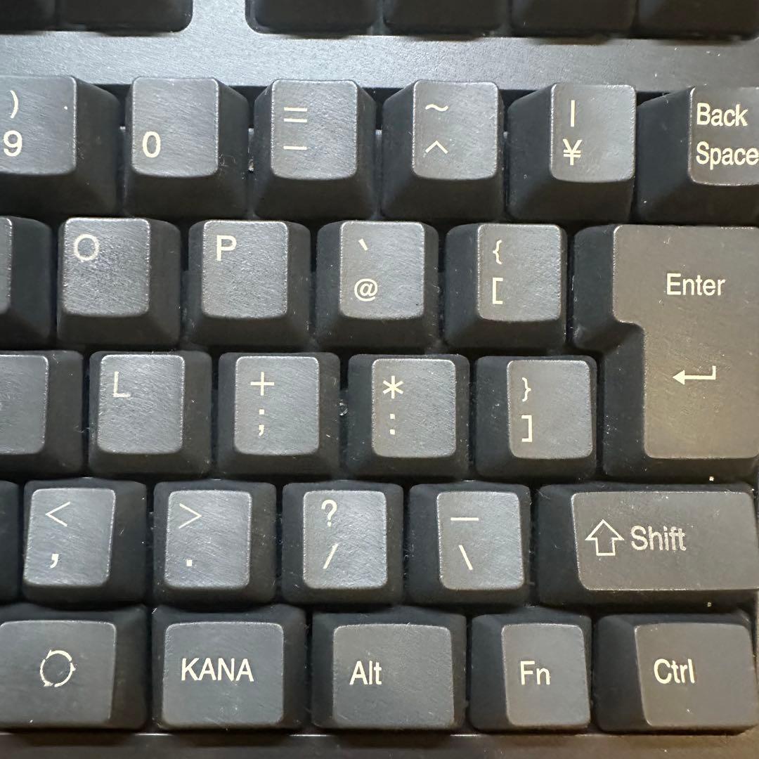 REALFORCE R2TLS-JP4-BK テンキーレスキーボード