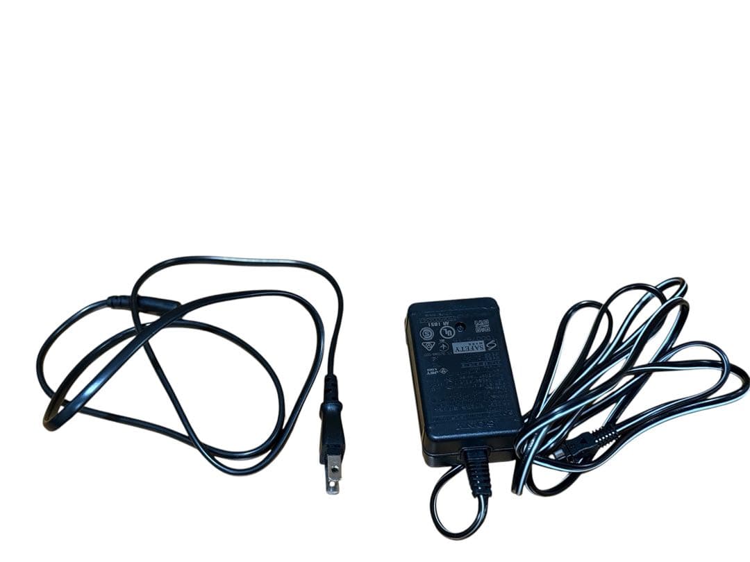 ビデオカメラ SONY FDR-AX30