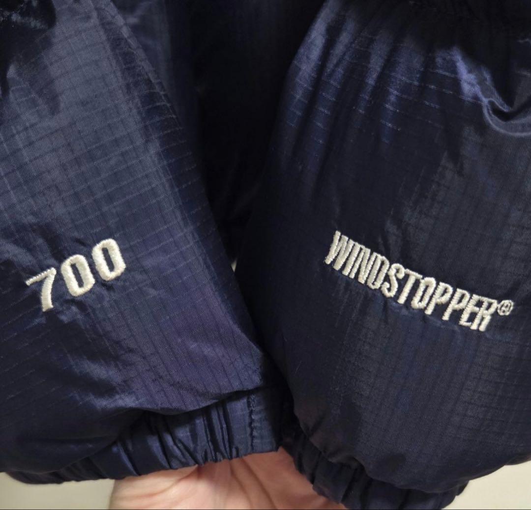 THE NORTH FACE SUMMITシリーズ 700 M 海外限定　ダウン