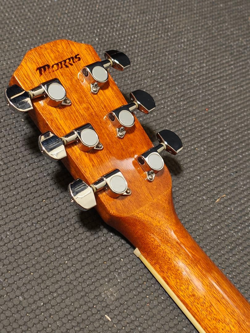 Morris S-20TS/エレアコ ソフトケース付