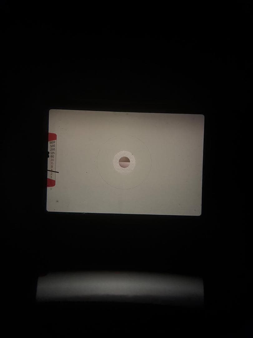 超美品 NIKON ニコン EM フィルムカメラ　モルト新品交換済 M662