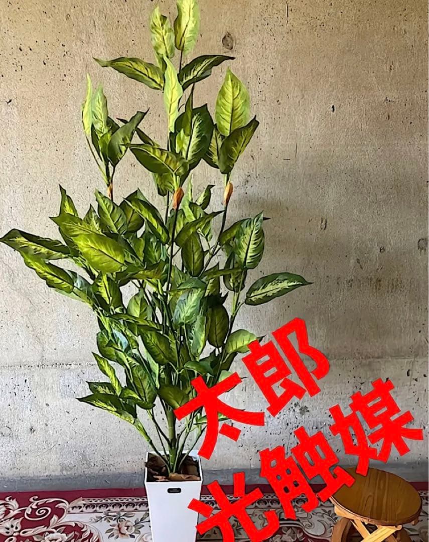 光触媒　人工観葉植物　ウォールグリーン　フェイクグリーン　デヘンヴァギア130