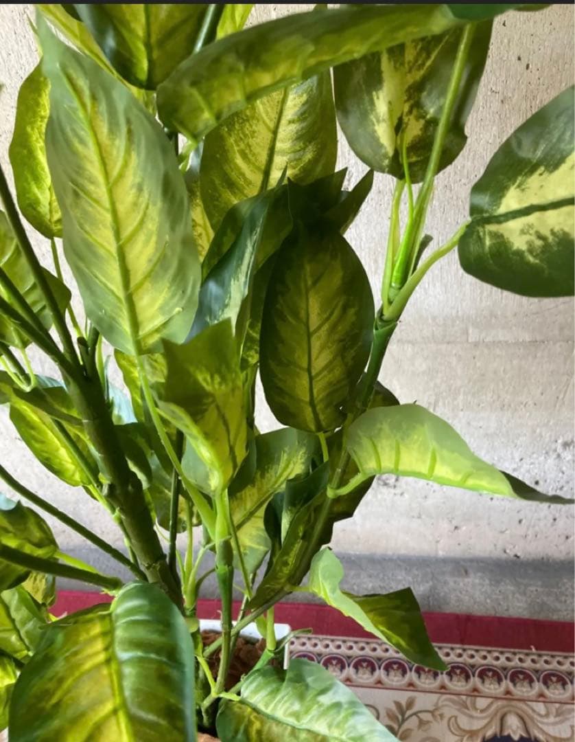 光触媒　人工観葉植物　ウォールグリーン　フェイクグリーン　デヘンヴァギア130