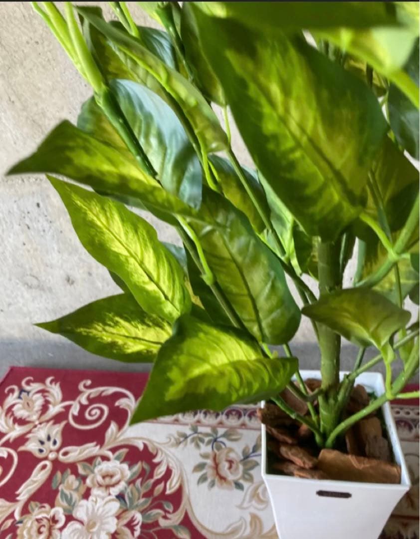 光触媒　人工観葉植物　ウォールグリーン　フェイクグリーン　デヘンヴァギア130
