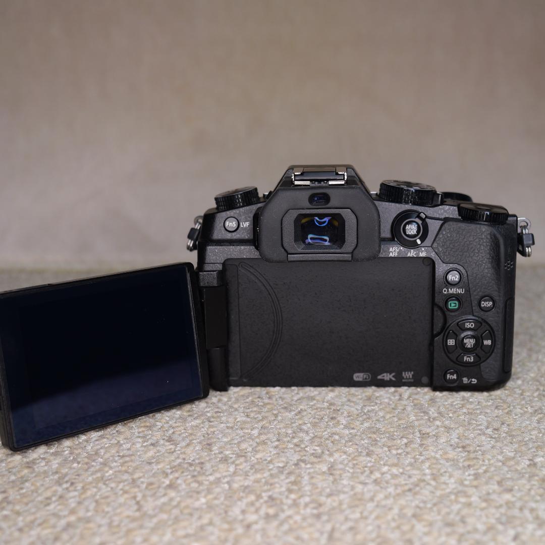 【1247】Panasonic LUMIX DMC-G8 箱付き美品