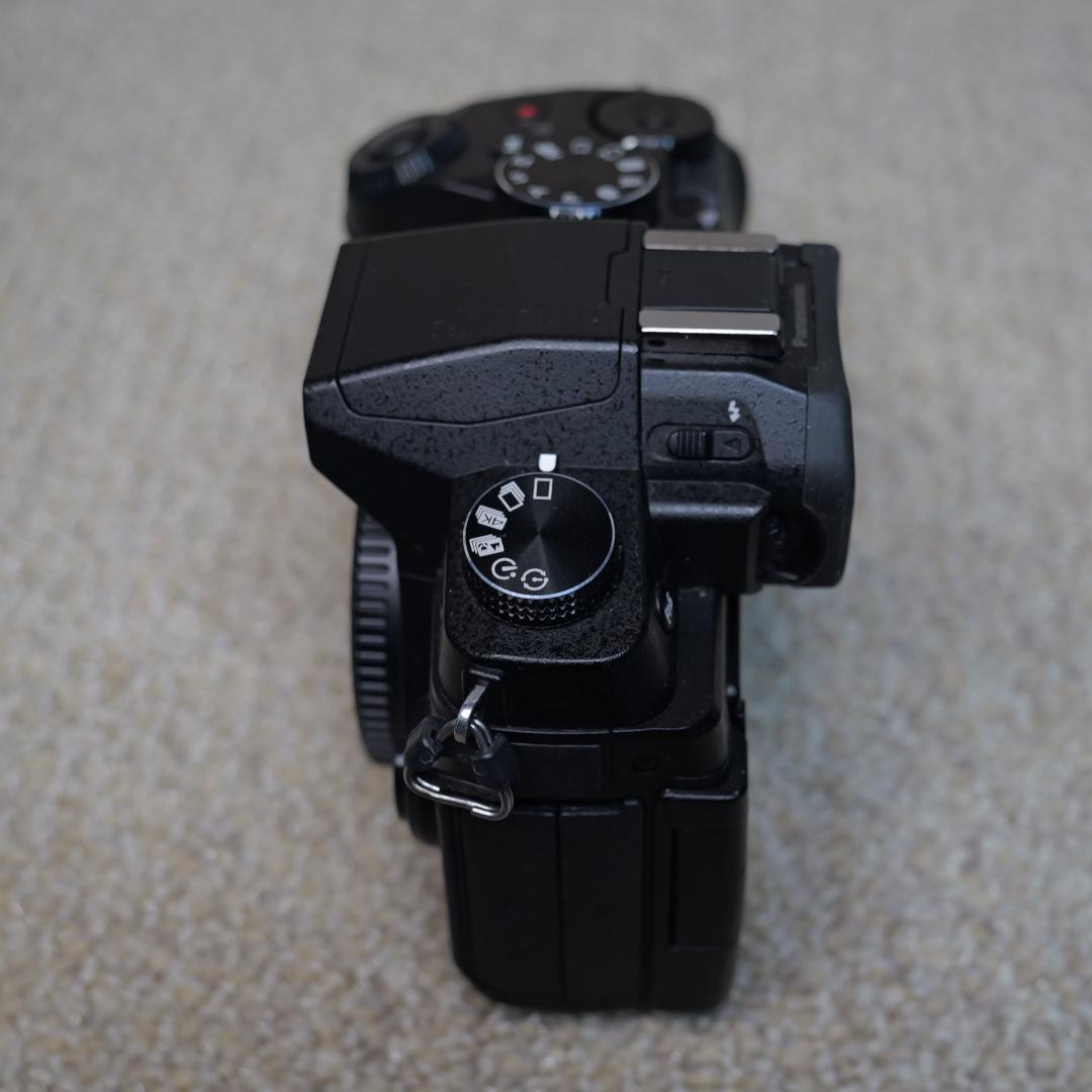 【1247】Panasonic LUMIX DMC-G8 箱付き美品