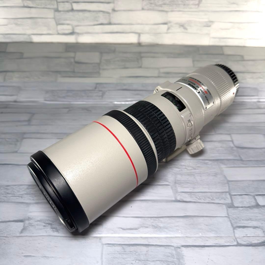 Canon EF400mm F5.6L 超望遠レンズ