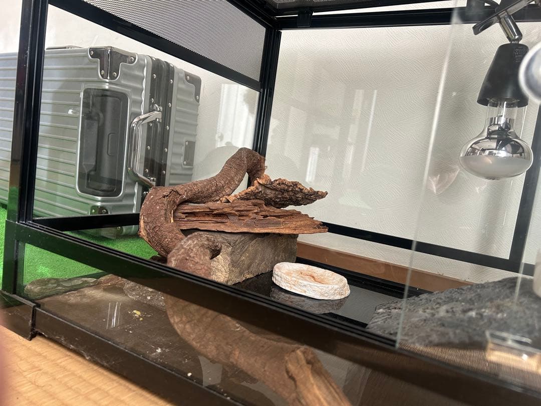 大型ガラス飼育ケージ UVB・ヒーターライト付き　引き取り限定