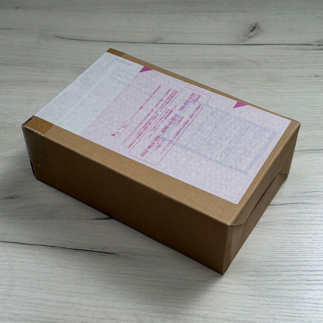 仮面ライダーカブト ライダーフォーム 真骨彫製法 10th Ver.