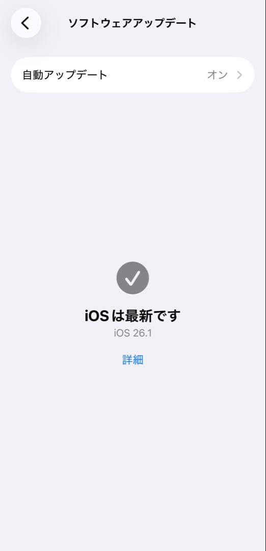 iPhone 12 Pro 256GB SIMフリー【バッテリー91%】
