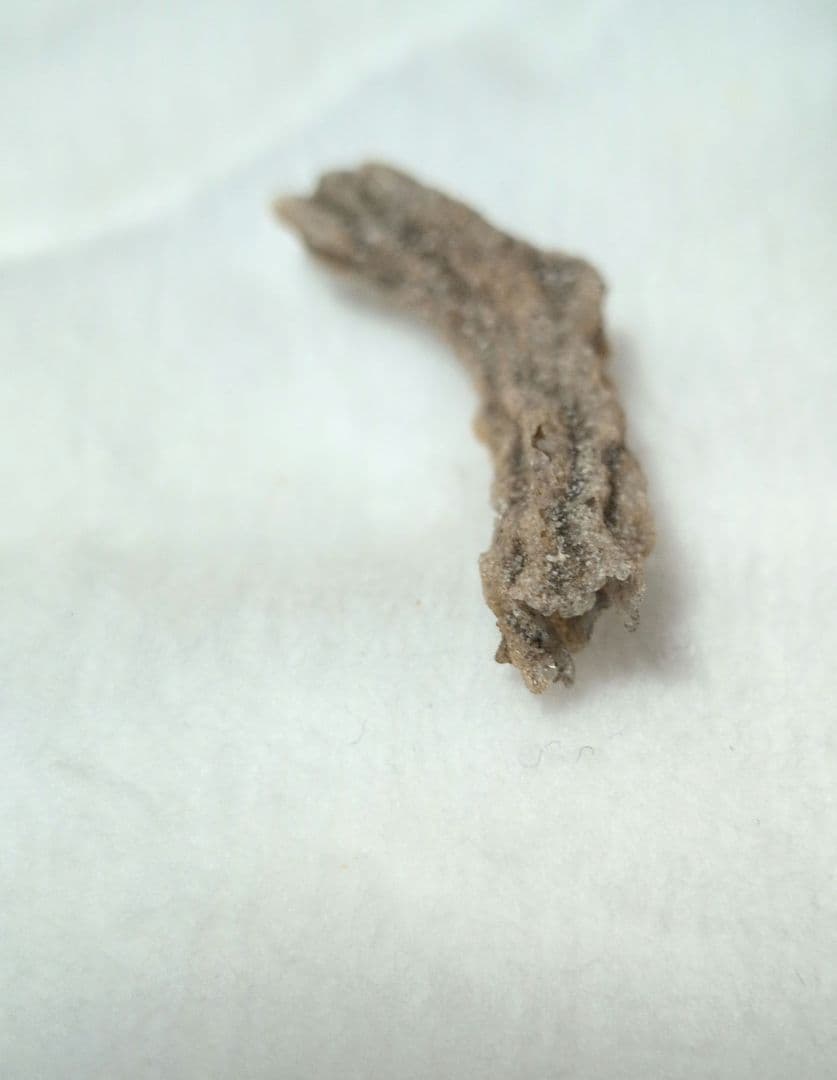 激レア　サハラ砂漠のフルグライト、閃電岩、雷管石と少しサハラ砂漠の砂のおまけ付き