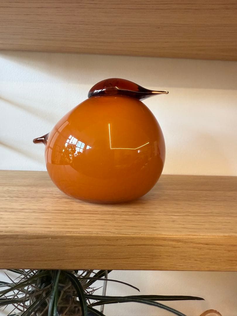 イッタラ　クーラス　セビリアオレンジ