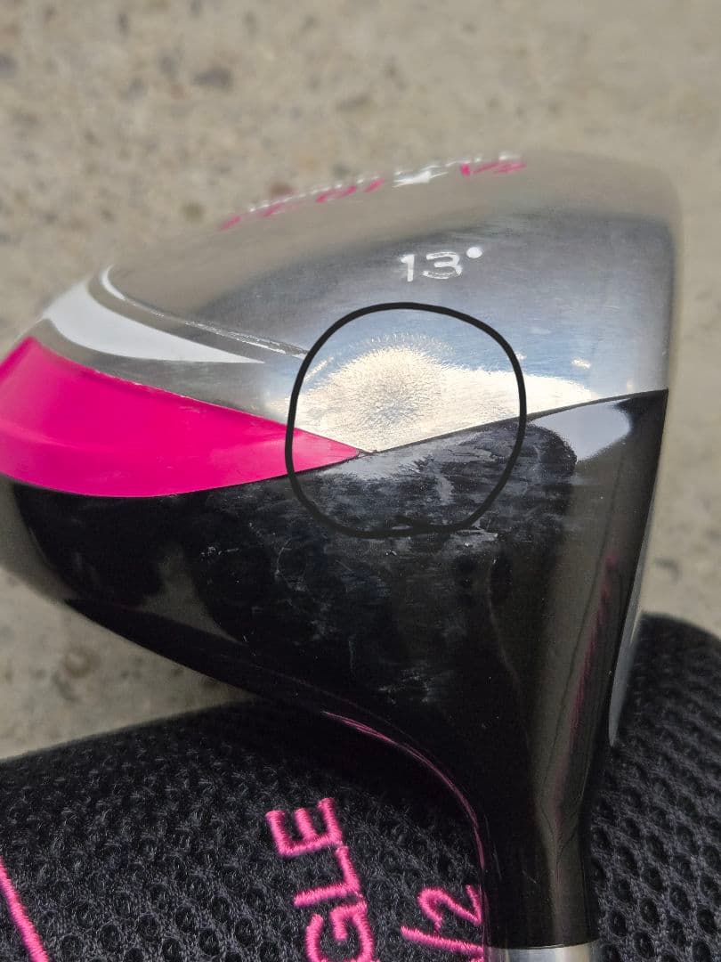 ワールドイーグル　FL-01 V2　レディースゴルフ10本セット　FLEX-L