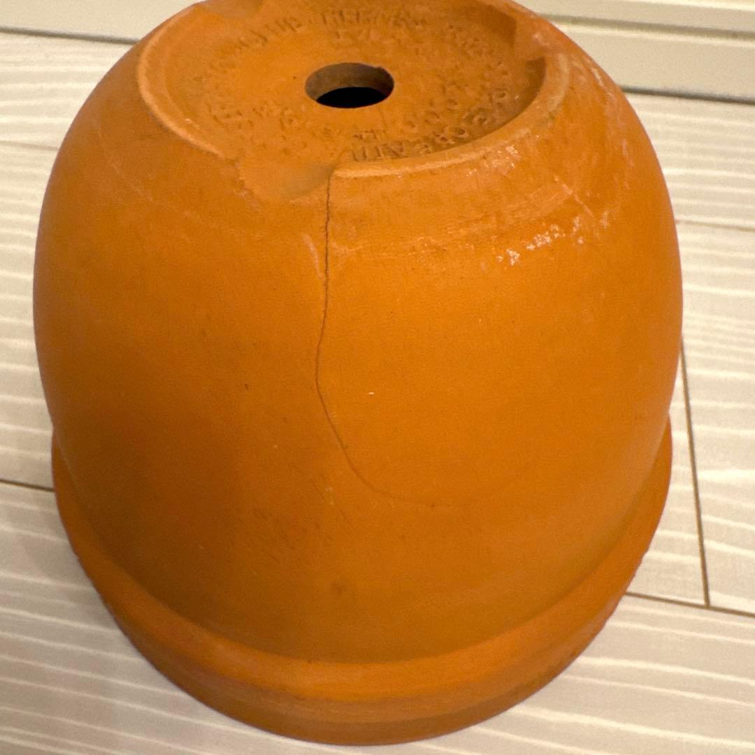 HERMES FLOWER POT 非売品　ノベルティ　植木鉢　エルメス