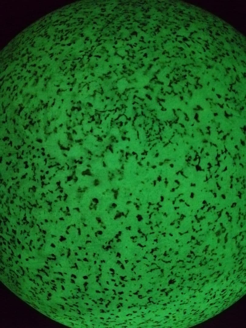 【特大!!!】夜光石（ルミナスストーン　蓄光石）【38kg】