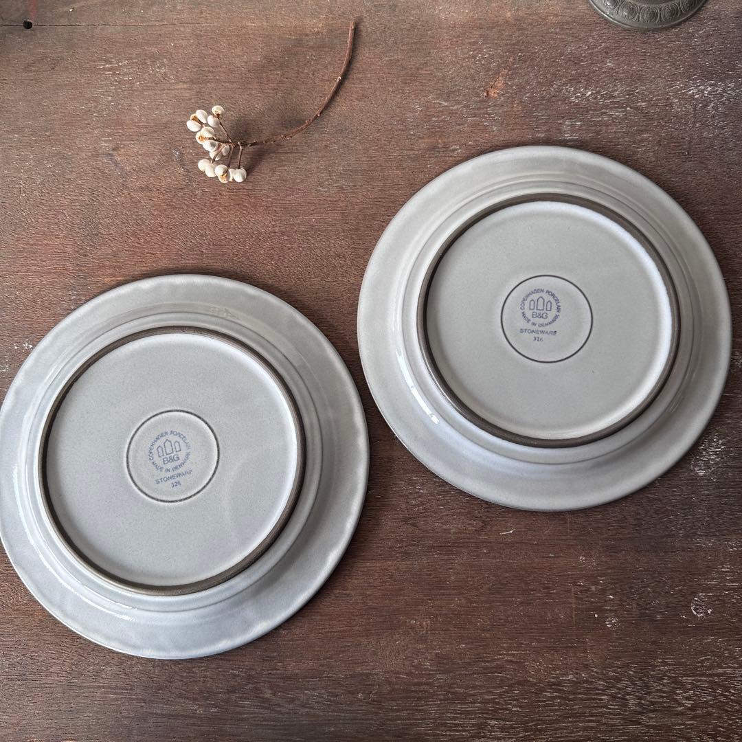 クイストゴー　コーディアル　21cmプレート2枚