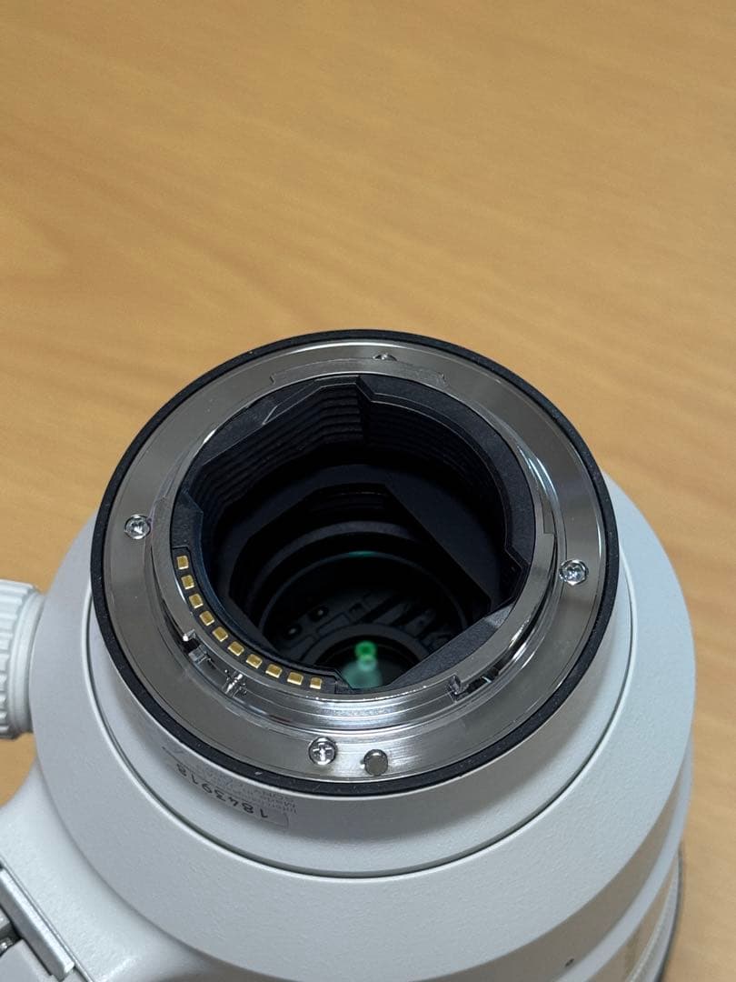 【Sony】FE100-400mm F4.5-5.6GM