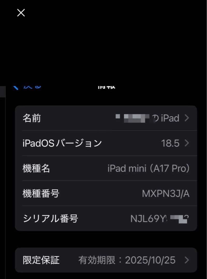 ほぼ新品★iPad mini 7 128GB cellular モデルスター