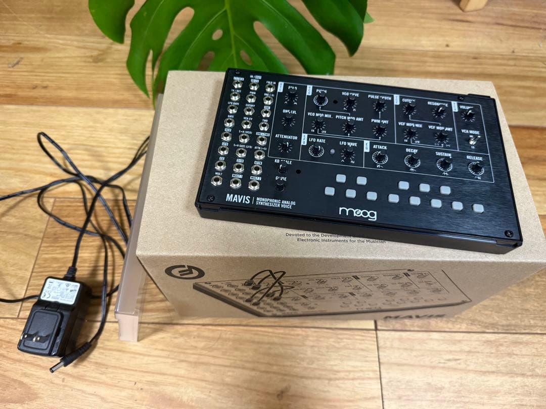 Moog MAVIS モノフォニックアナログシンセサイザー