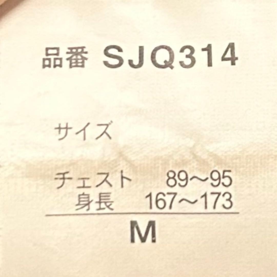 AIRBORN メンズ スノーウェア 上下セットスキー スノボー M