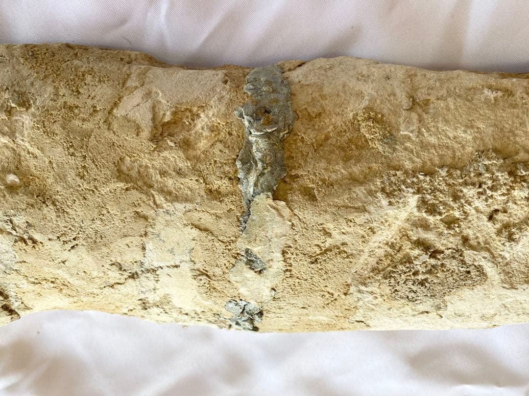 ブラジル産　魚の化石　重さ5kg 長さ62.3cm 幅14.7cm ②