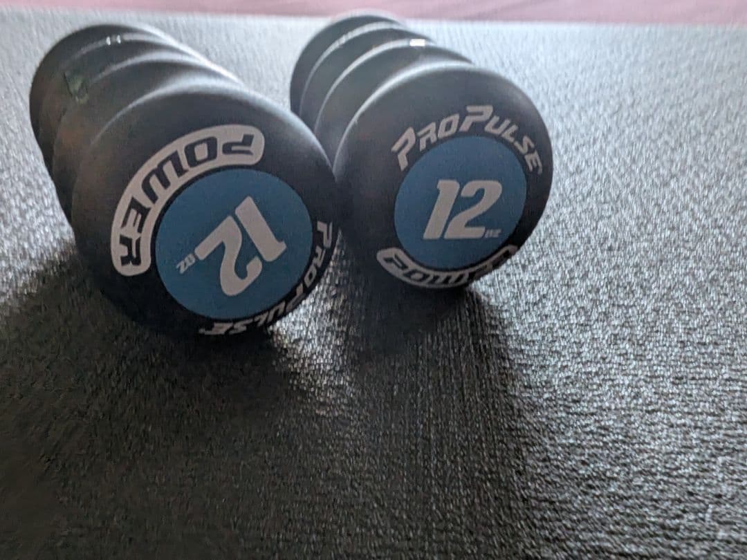 ProPulse 340g 中古 正規品 体幹 リズム 格闘技