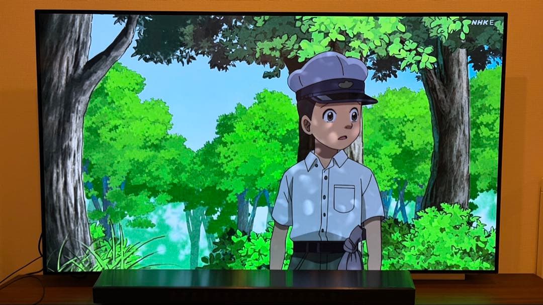 LG OLED65C7P-J 65インチ有機ELテレビ