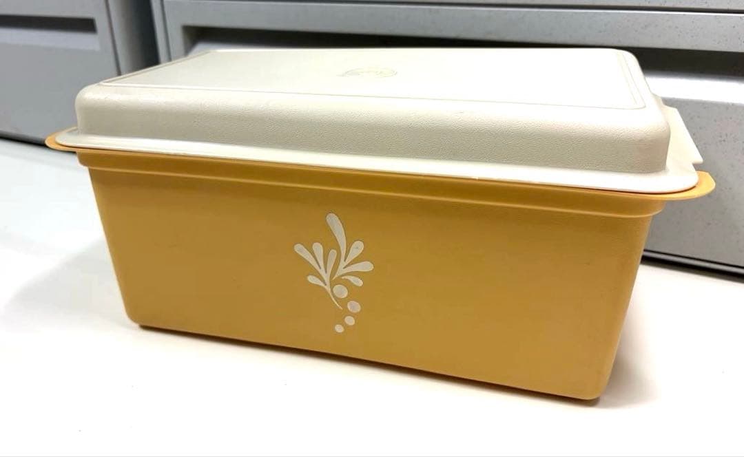 昭和レトロ入手困難希少激レア❤︎Tupperwareタッパーウェア❤︎パンケース大