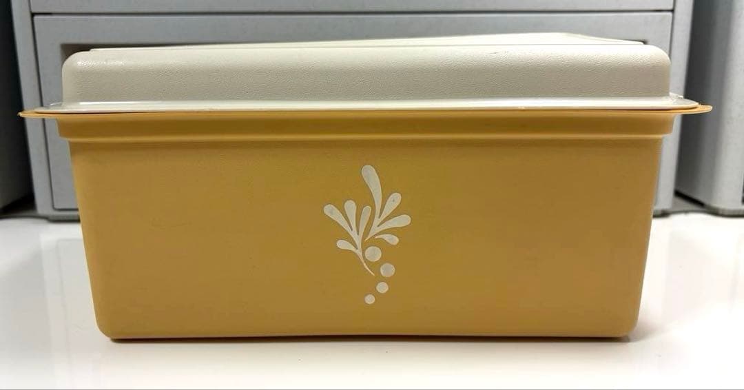 昭和レトロ入手困難希少激レア❤︎Tupperwareタッパーウェア❤︎パンケース大