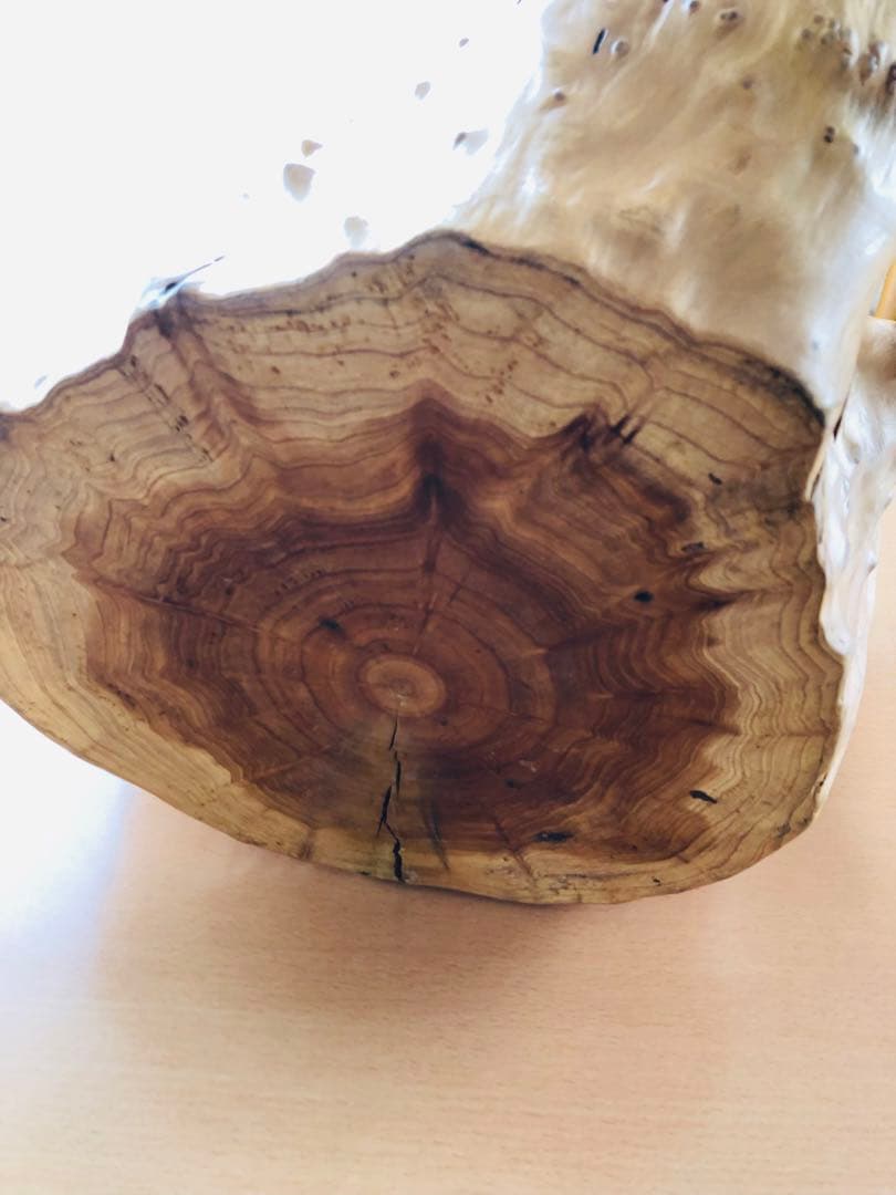 アンティーク丸太くり抜き　切り株　バスケット