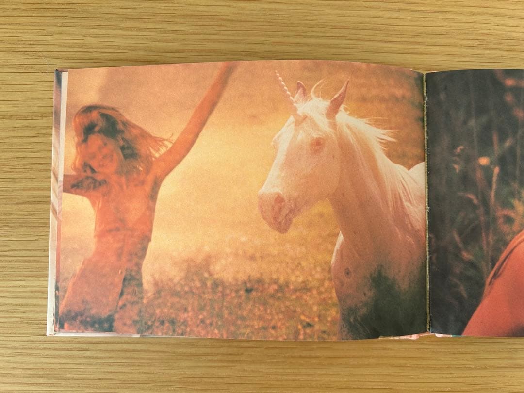 THE VIRGIN SUICIDES フォトブック