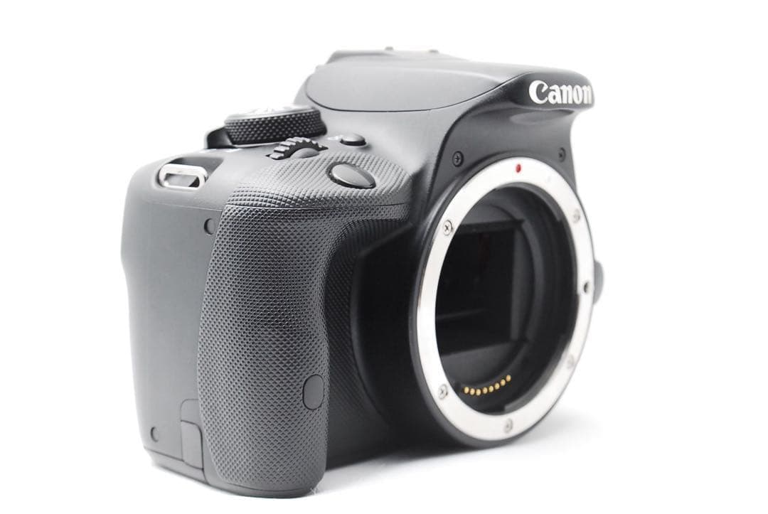 【世界最小一眼レフ】Canon Kiss X7 ダブルレンズセット ショット数少