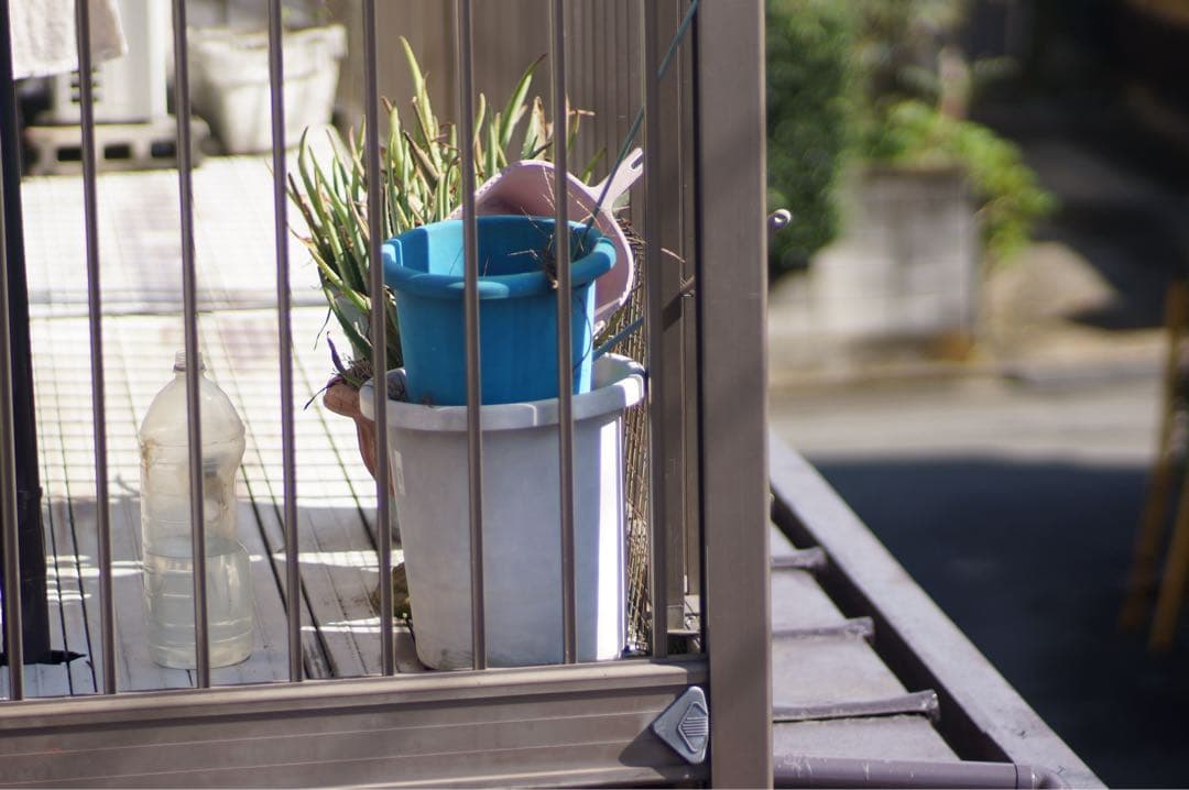 Carl Zeiss Planar T* F1.4 85mm アダプタ付 作例有