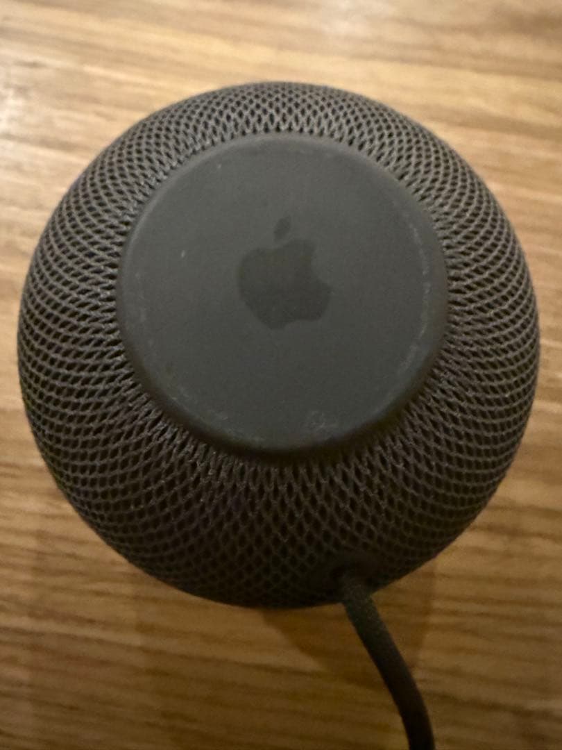 Apple Pod mini ミッドナイト