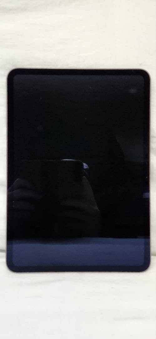 美品　M4 iPad Pro 11インチ (256GB, Wi-Fi)