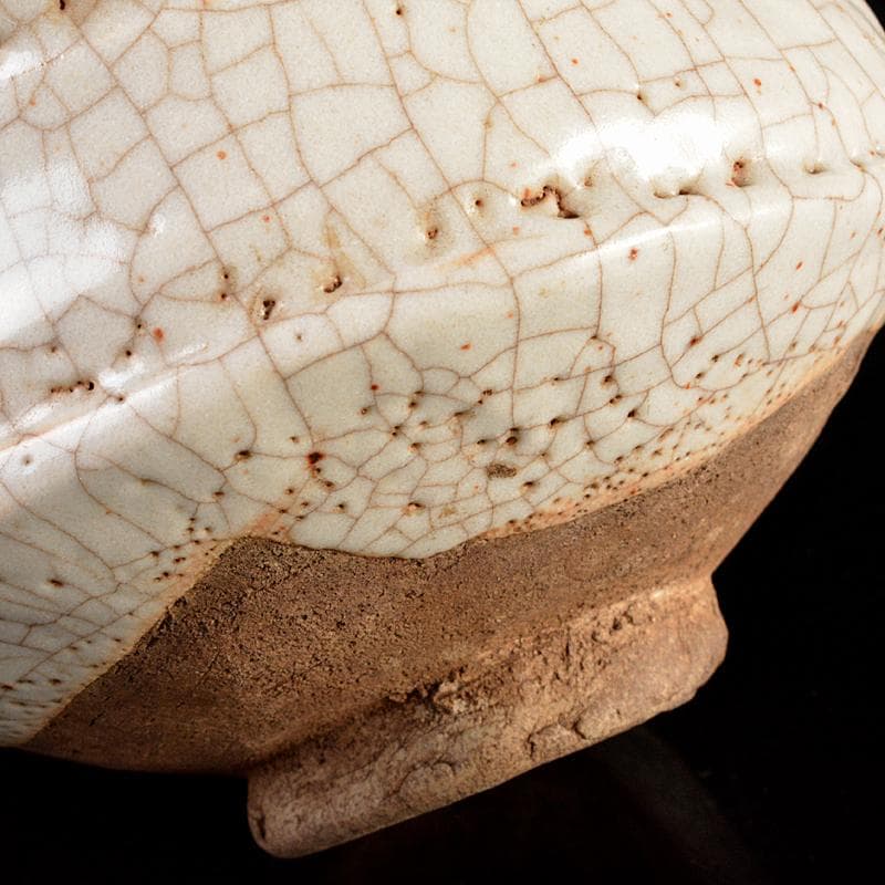 茶道具　志野茶碗　仕覆付　表千家十三代即中斎極め箱　V　R5871