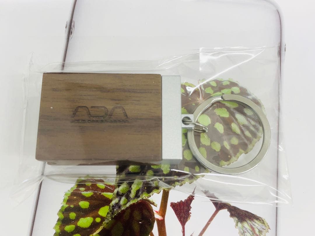 新品未使用 キーホルダー ウォルナット ADA　AquaDesignAmano