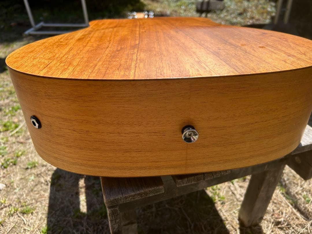 Cole Clark (オール単板)