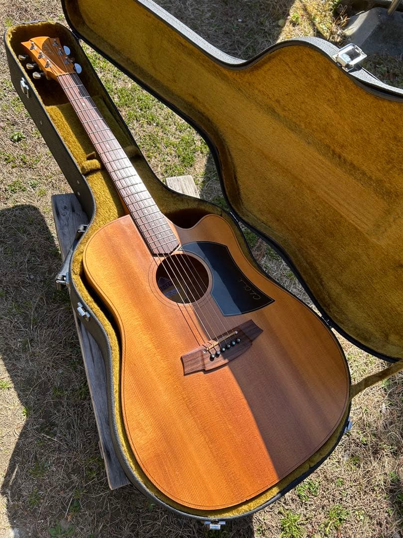 Cole Clark (オール単板)