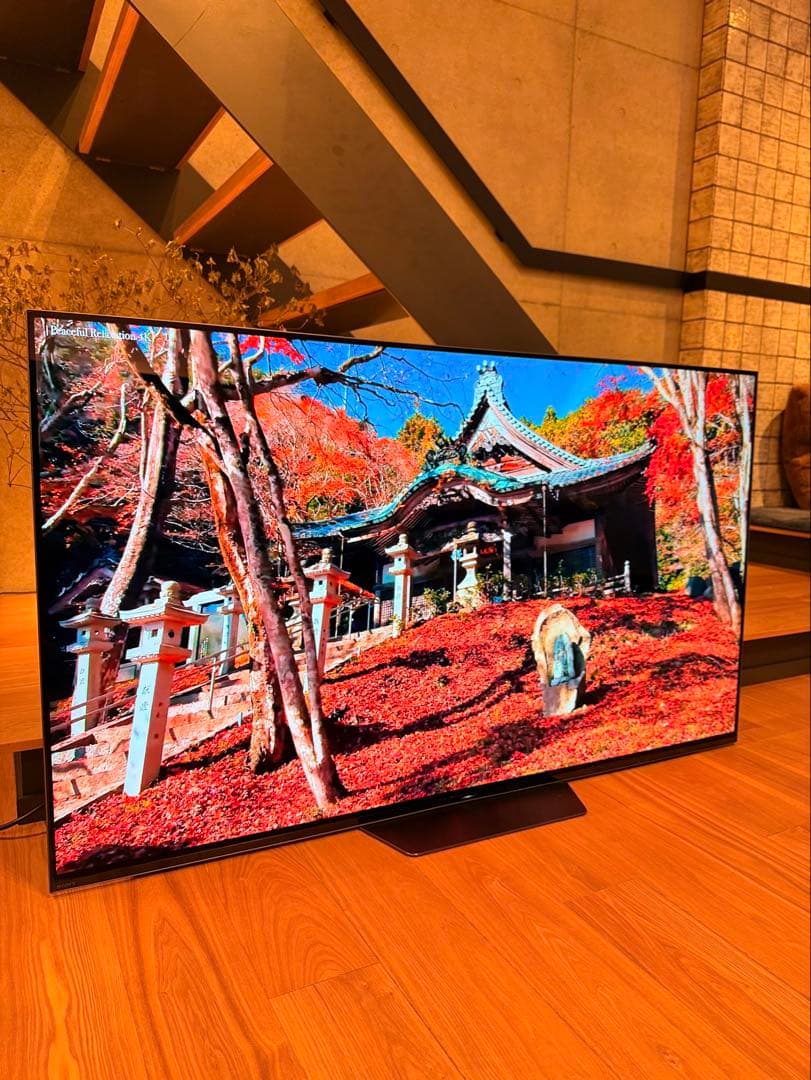 【送料無料】SONY 2018年製 55型 BRAVIA KJ-55A8F