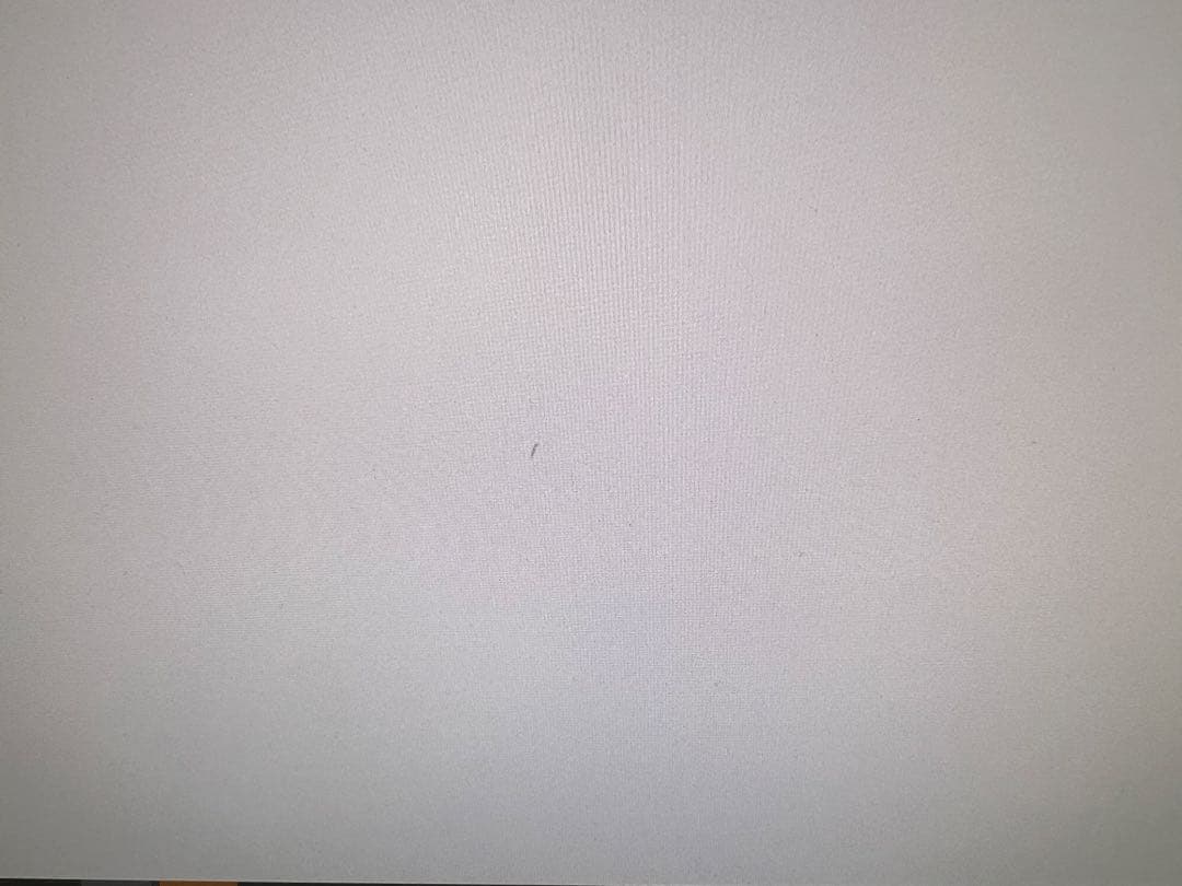 その他 Dell p2415q