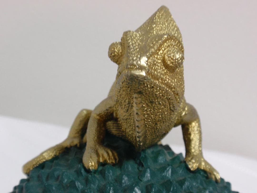 Colmore カメレオン デコボックス グリーン