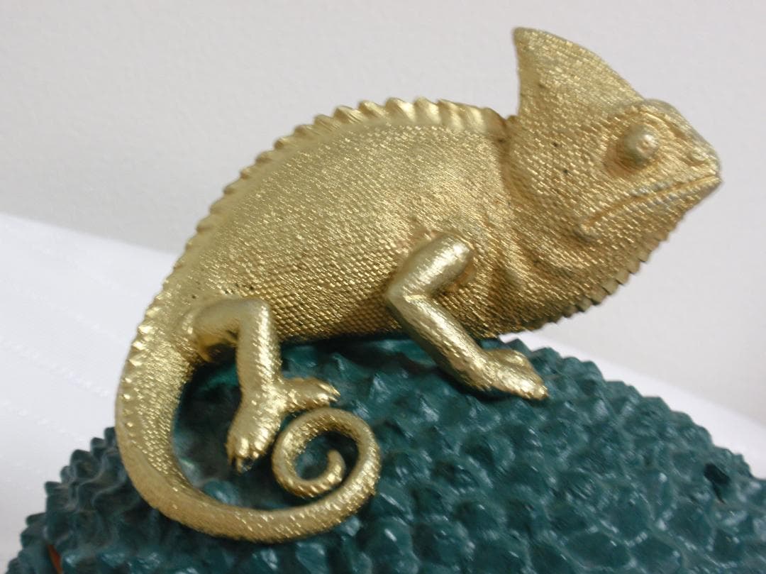 Colmore カメレオン デコボックス グリーン