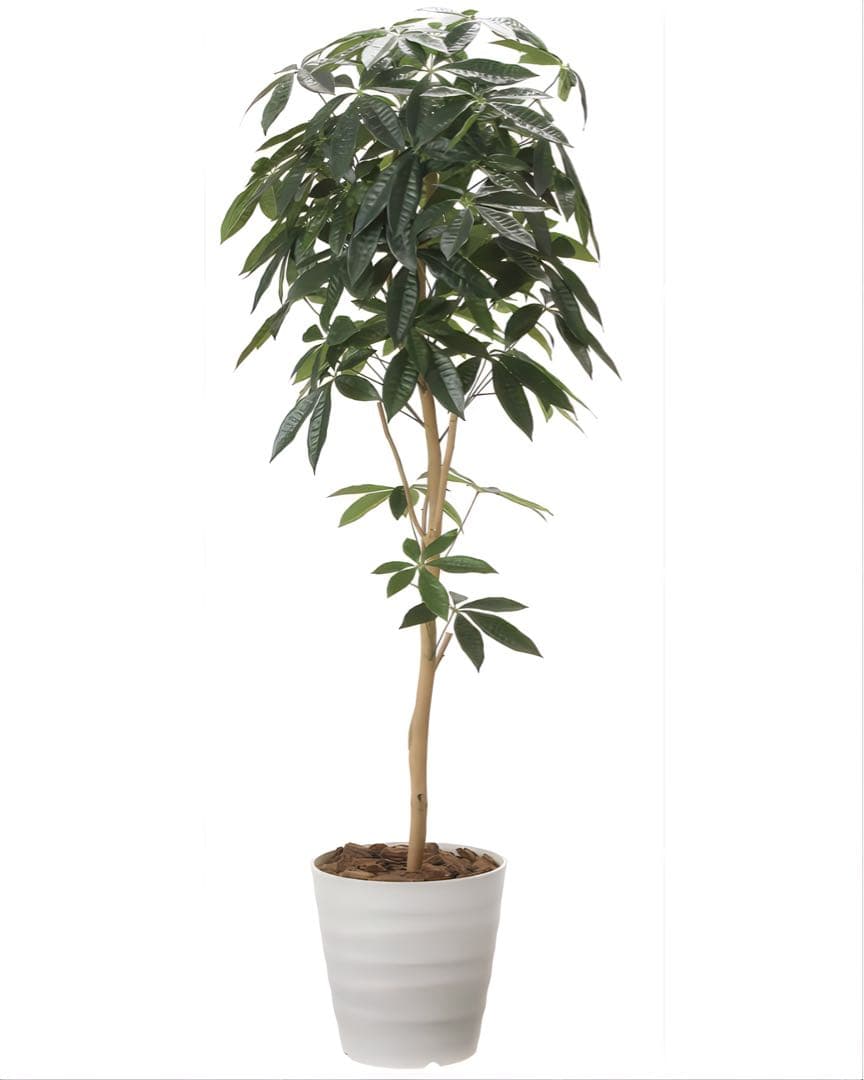 光触媒　人工観葉植物　ウォールグリーン　フェイクグリーン　デザインパキラ1.6m