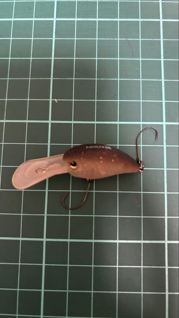 ティモン　パニクラ　DR MR ロデオコラボ